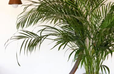 La Terrazza di Isabel - Foto 12