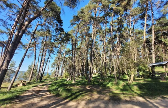 Ferienhof Neuendorfkrug, Lutow - Foto 28