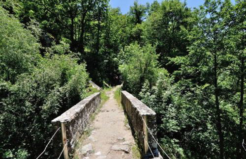 PASCHIERE by Keyhole Selection - Photo 27