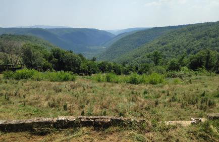 Perina hiža - Foto 21