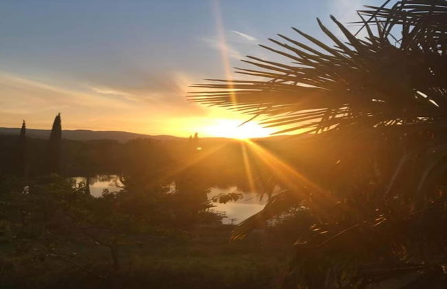 Apartment in Sassetta With Pool and Garden - Photo 42