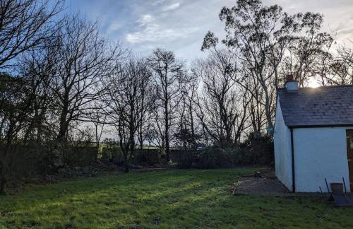 Molly's Cottage - Foto 15