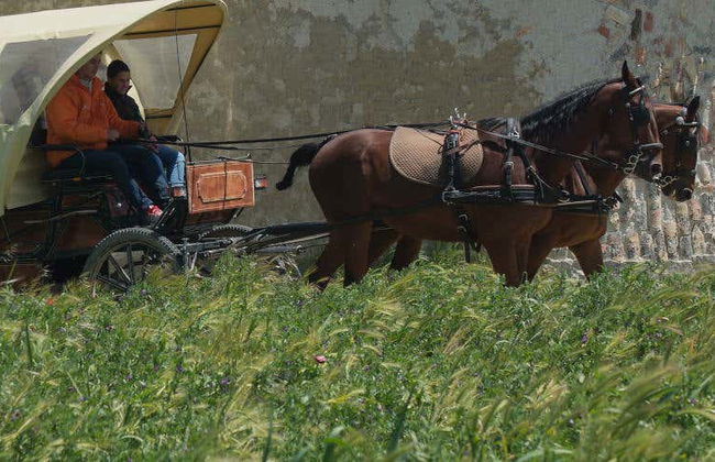 Visita guiada por la finca de Matallana - Foto 1