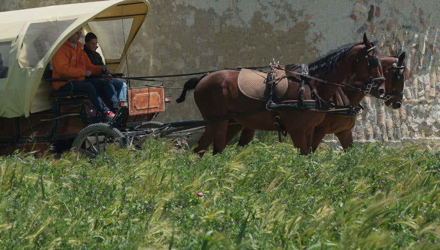 Visita guiada por la finca de Matallana