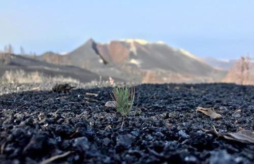 Casita La Rosa - Foto 69