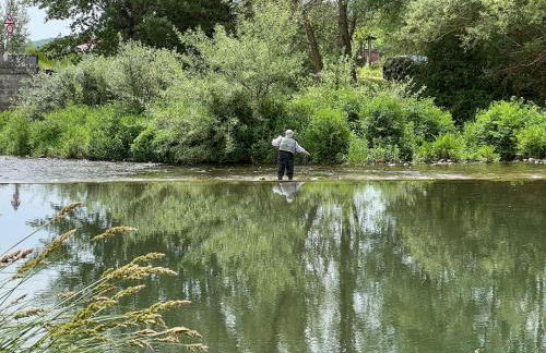 Casa Elvira en Salinas de Pisuerga - Foto 26
