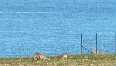 Hard Aground - Ocean View - Pet Friendly! SWH - Photo 5