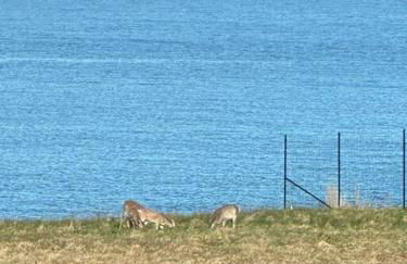 Hard Aground - Ocean View - Pet Friendly! SWH - Foto 5