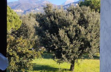 MareLunae tra Liguria e Toscana relax arte cultura - Foto 23