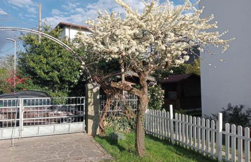 Villa Rosetta relax - Photo 23