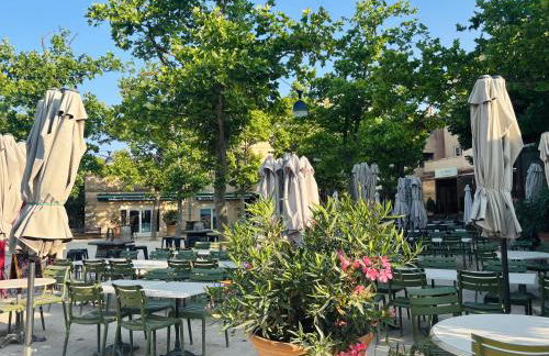 Village Pierre & Vacances Pont Royal en Provence - Foto 27