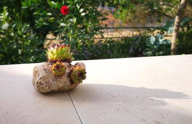 Apartments Bošković - Foto 33