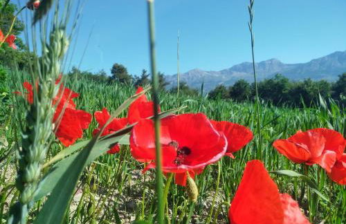 Villa L'Epicléa, Chorges, entre lac et montagnes - Photo 23