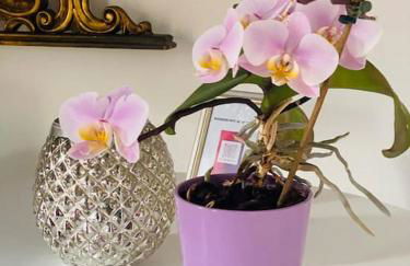 Val Rosandra - Foto 9