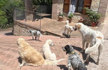 SetterHouseAgriHotel - Photo 40