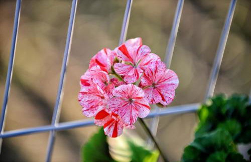 Spacious Villa in Celorico de Basto with Private Pool - Foto 48