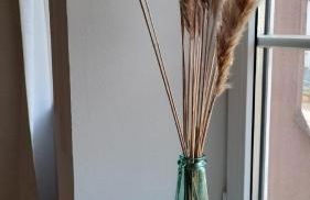 Landhaus Domaine de Marie - Foto 31