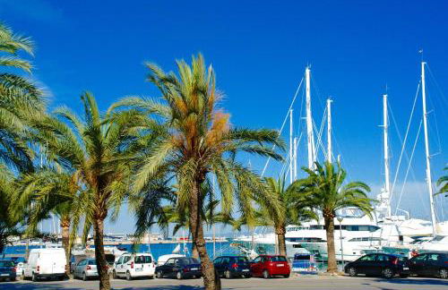 Ca'n Perlita - Foto 40