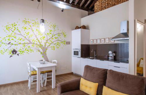 Casa Emblemática Salgado - Foto 8