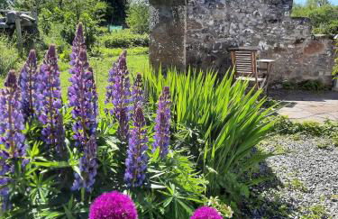 Highland River Cottage with Hot Tub - Foto 52