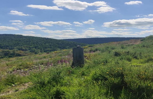 Unique Holiday Home in Noordwolde With Garden - Foto 28