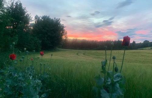 The Carthouse (Luxury 2 bed with private hot tub) - Photo 37