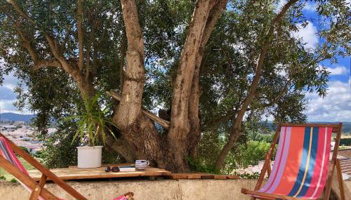 Casa Anneli - relaxing under the olive tree - Foto 3