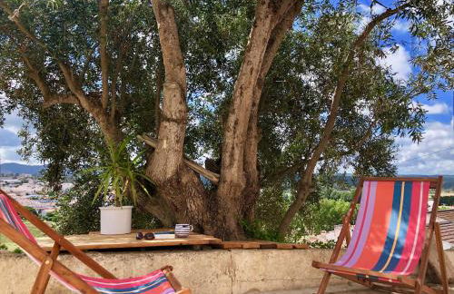 Casa Anneli - relaxing under the olive tree - Foto 3