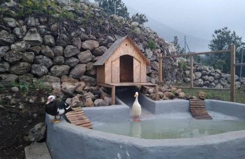 LA TAGORA Conect with the nature & relax - Foto 46