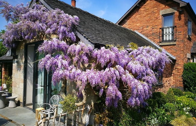 Hayeswood Lodge Luxury Accommodation - Photo 16