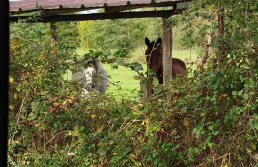 Maisonnette de charme A 5 min du Parc PUYDUFOU - Photo 13