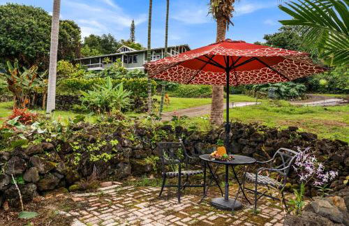 Orchid Hale - Foto 52