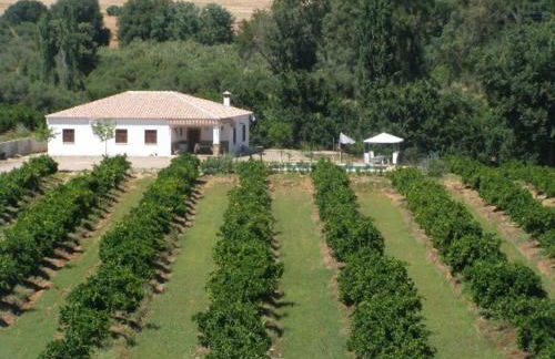 Casa Rural Alameda en Posadas Córdoba - Foto 27