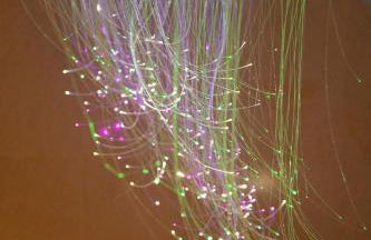 Tenuta Santa Tecla - Foto 68