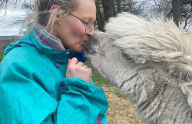 Unique Stay on an Alpaca Therapy Farm with Miniature Donkeys North Wales - Foto 14