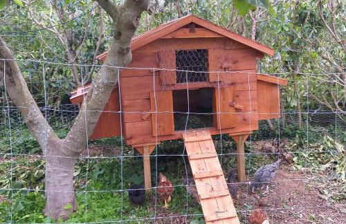 Quinta da Pavoa - Cottage House - Photo 57