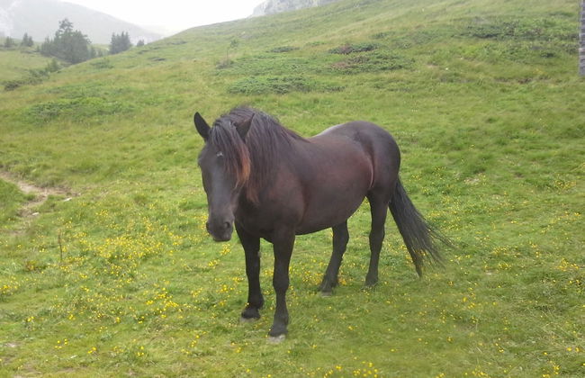 David Suiten - Foto 52