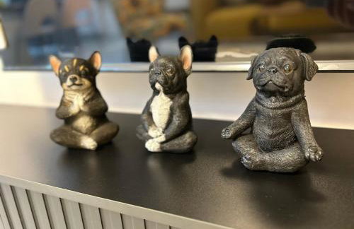 Messe HV-2 - Photo 14