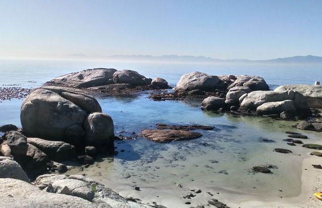 Edwardian Town House - Foto 9