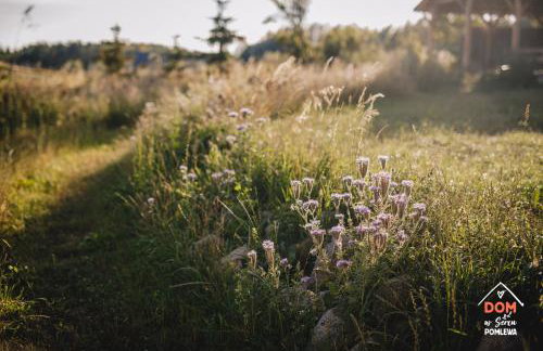 Dom w sercu Pomlewa - Foto 40