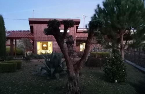 CAMPO DE SOBARBO - Guest House rural - Foto 32