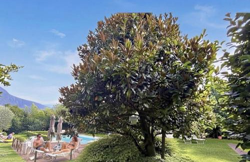 ABIES lago di Como - Foto 35
