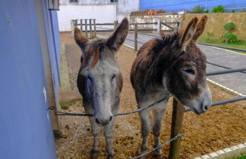 Casa antigua - Foto 31