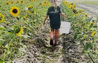 Beach Cottage - Foto 53