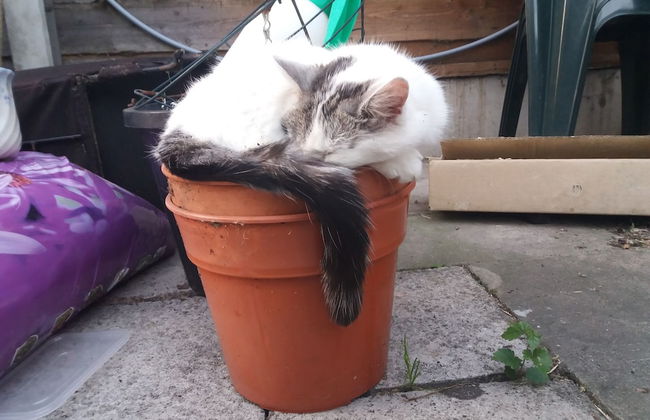 Modern Detached Bungalow - Photo 21