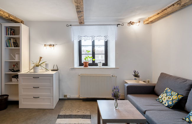 5 bedroom House in Benešov nad Černou with private pool and garden - Photo 9