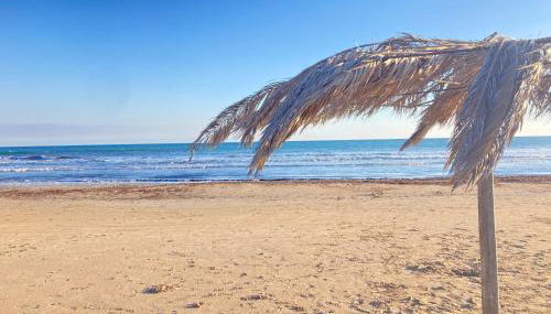 Beddaammari - Foto 1