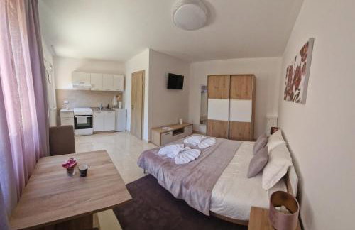 Sobe i apartmani Tena - Foto 21