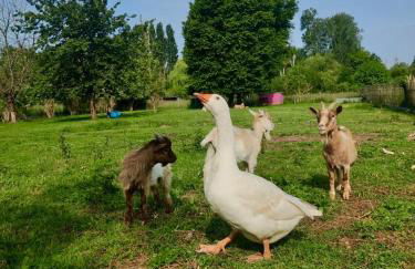 Gîte Côte Fleurie, 2 à 4 personnes, La Ferme de Valambray - Foto 16