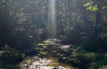 Shallow Creek Suite - Foto 10